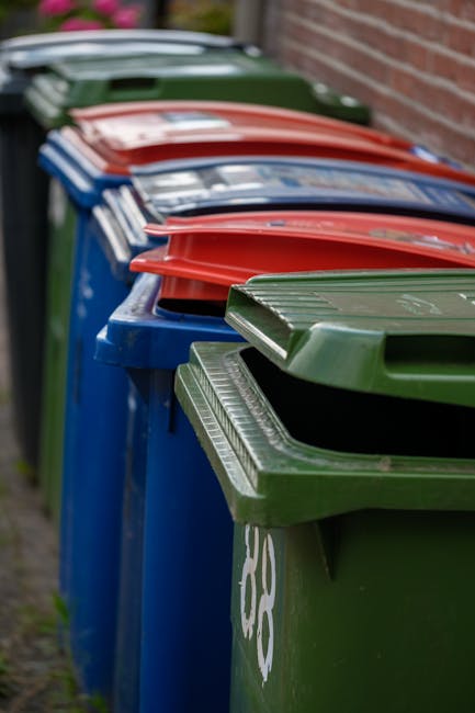 Affordable Plumstead rubbish collection rates what to know